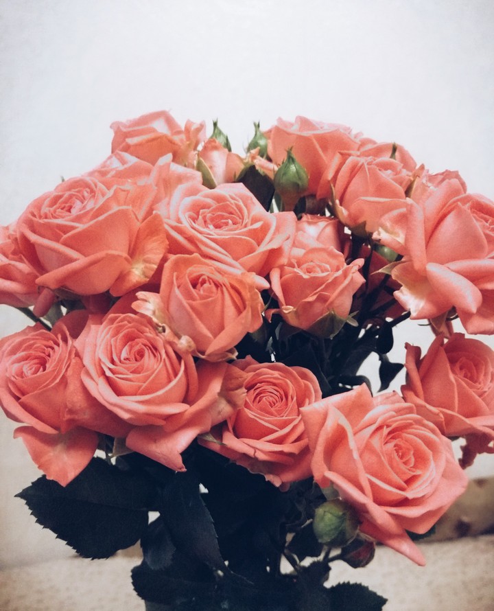 Roses