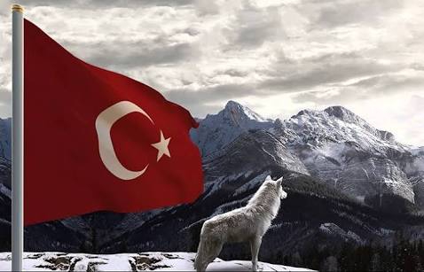 kurtlu batrak