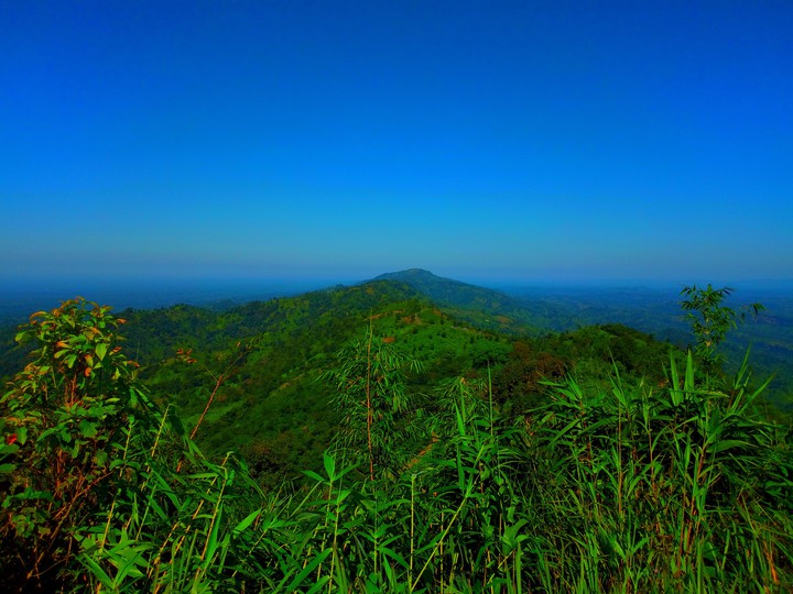Nilgiri #Bangladesh