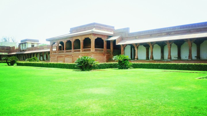 Lush Green Garden