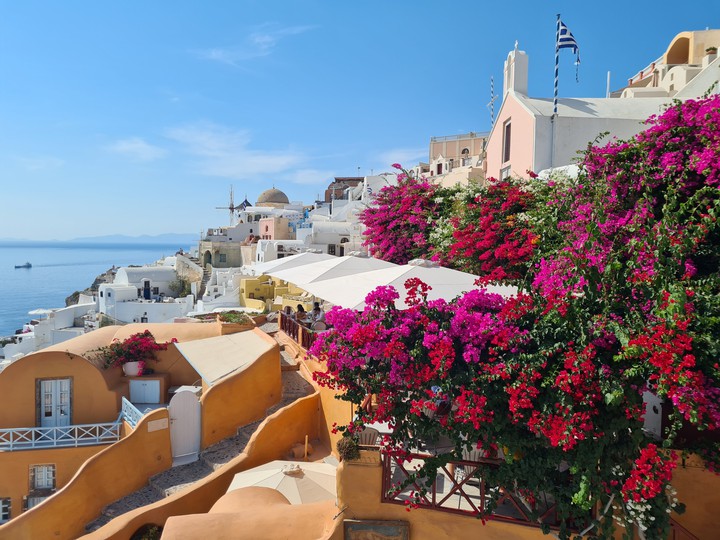 Santorini flowers