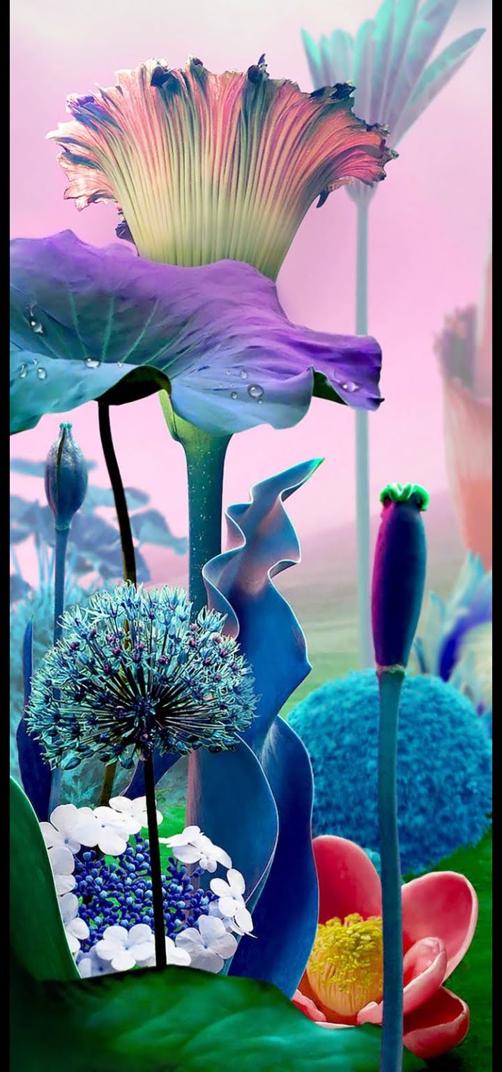nature