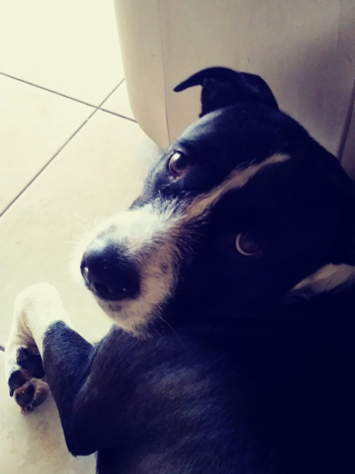 Guess how old he is