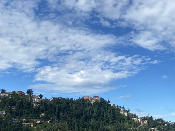 Shimla Dairy