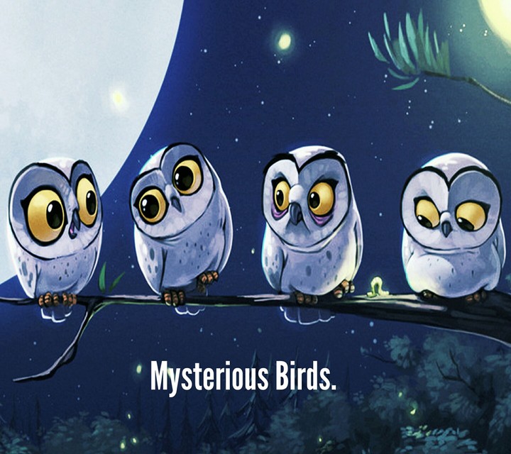 Mysterious Birds