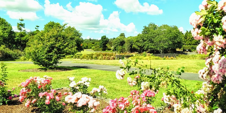 garden
