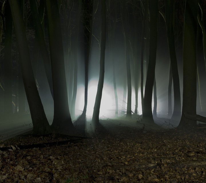 Into the Woods
