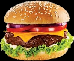 hambúrguer png