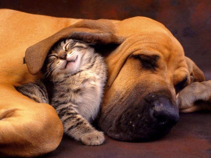 friendship goal