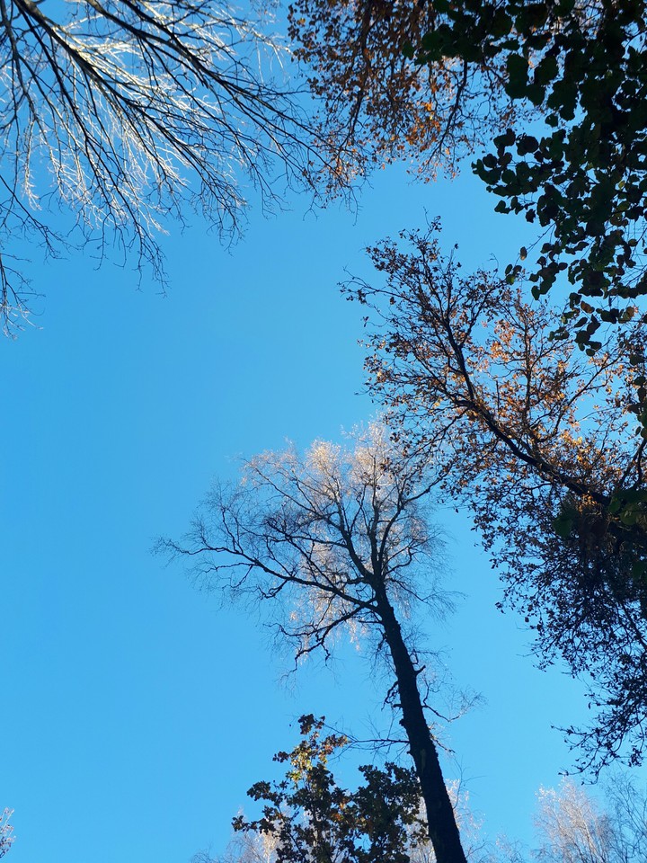 autumn