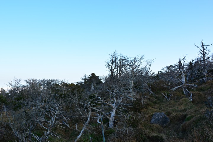 한라산이미지