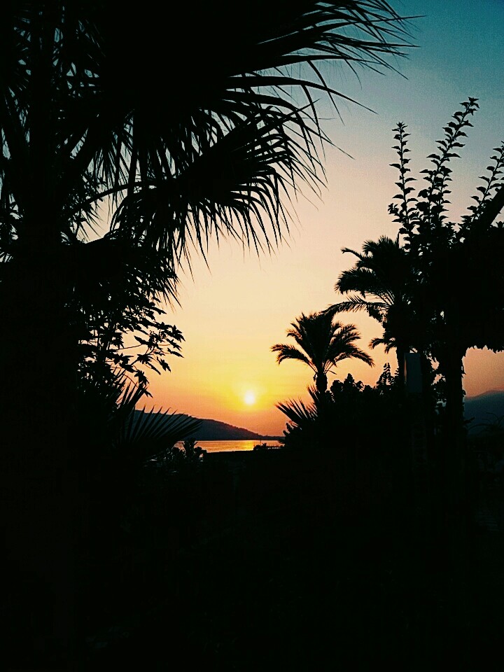 sunset