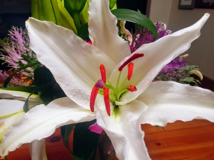 flower