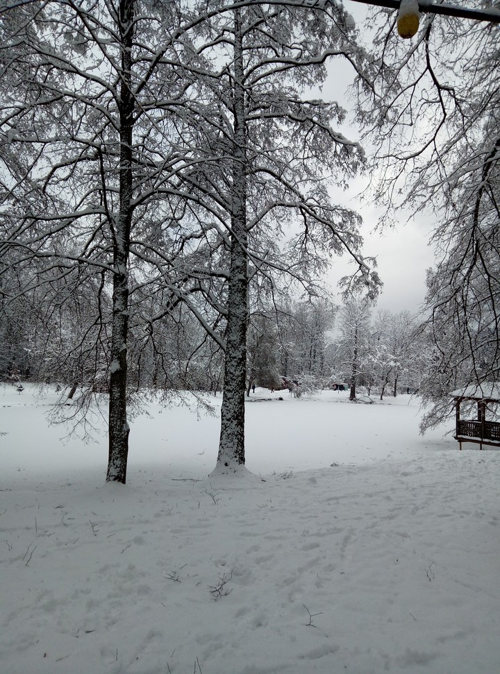 Зима winter