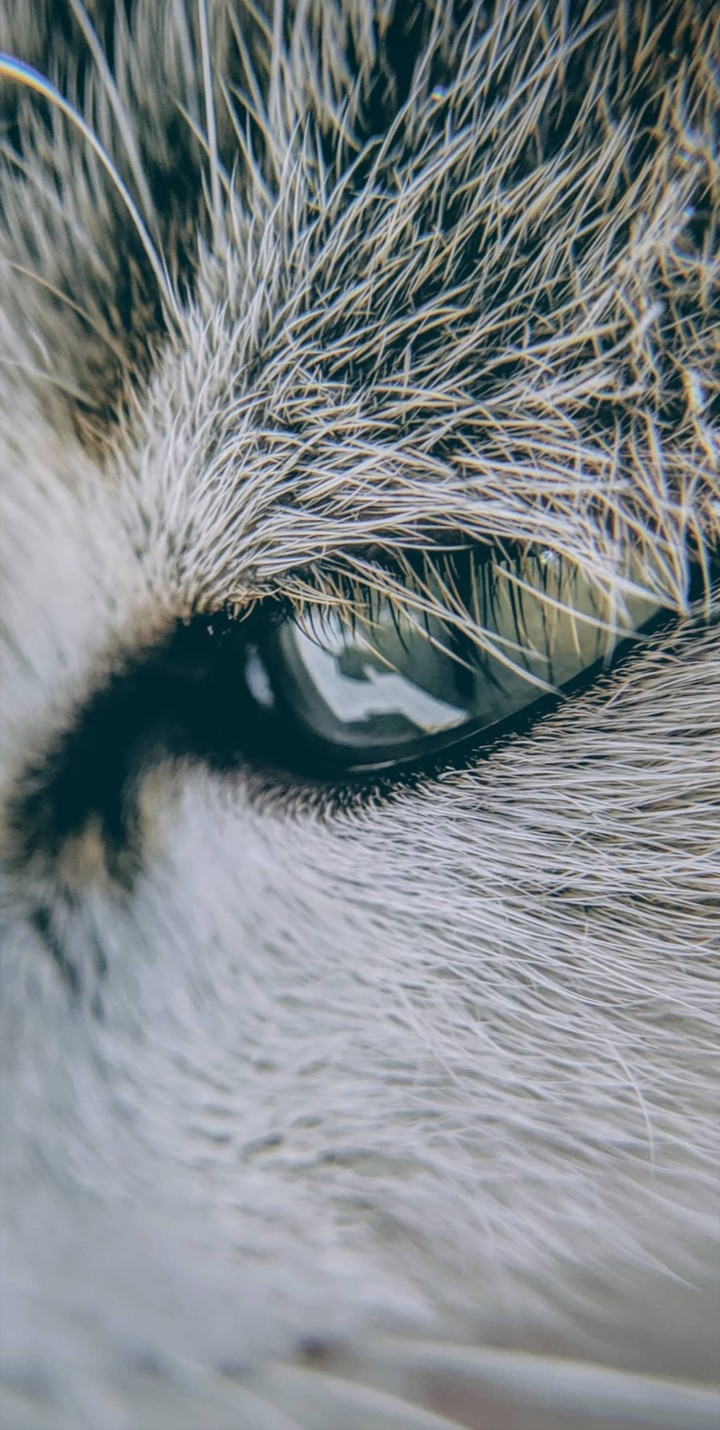 Stormy Eyes!!