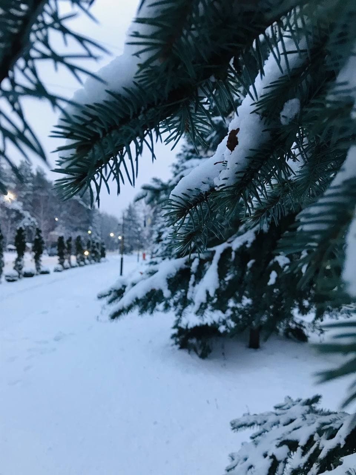 зима