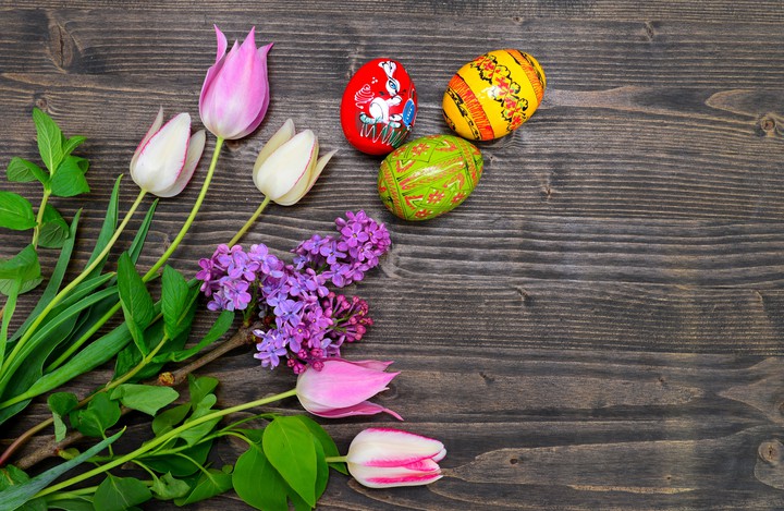 Tulips & Easter Eggs