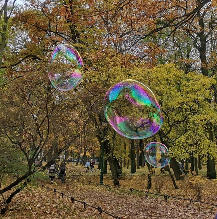 Tavrichesky park