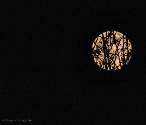 moon