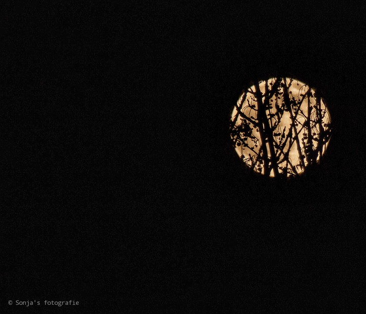 moon