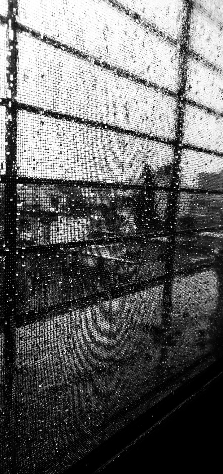 Rainy