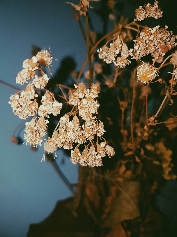 The beauty of autumn.