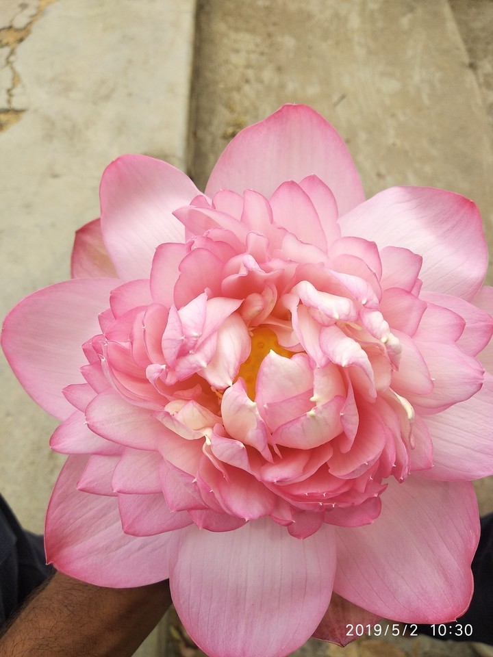 click by me