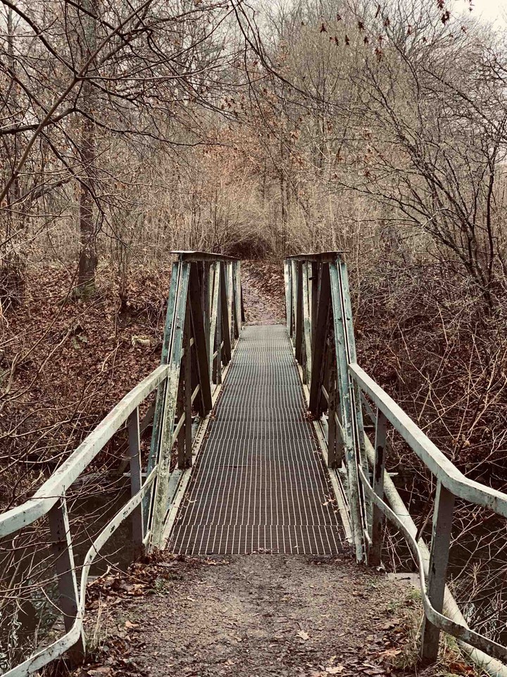 Autumn brige