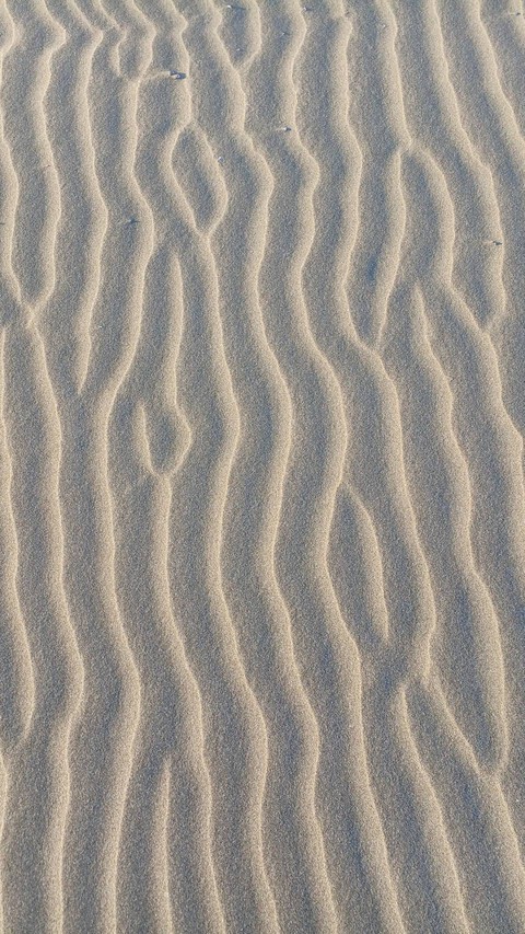 шпалери landscapes, Dune