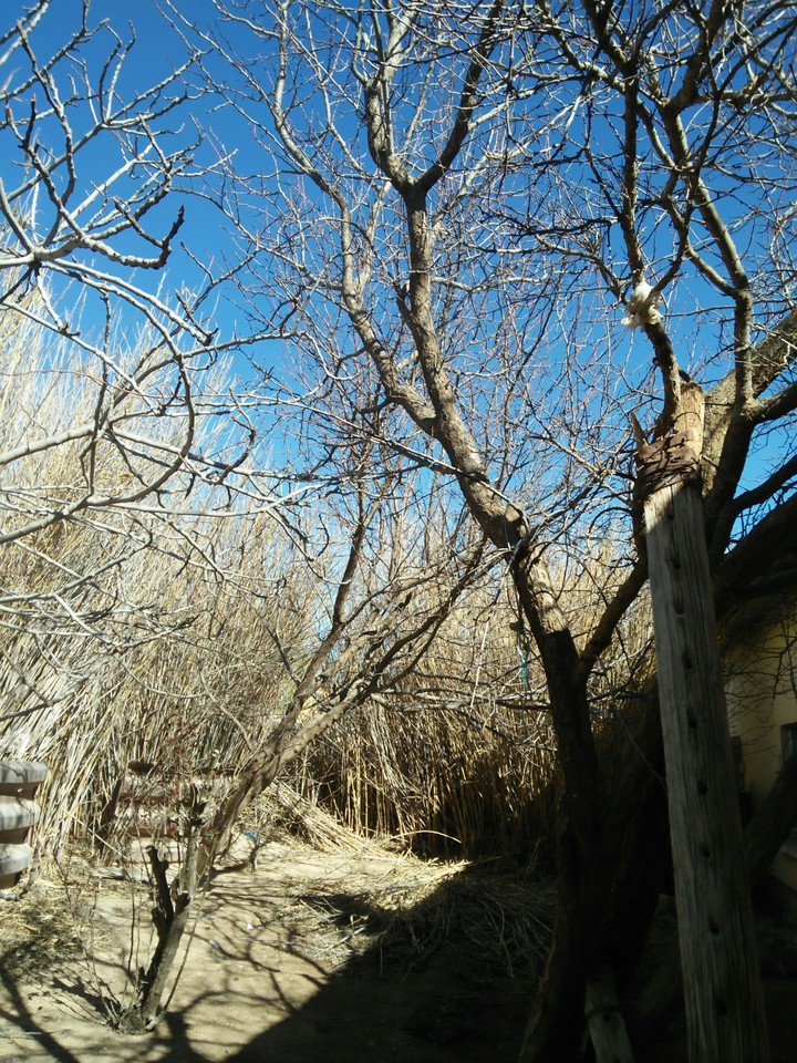 old house