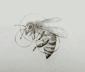 abeille