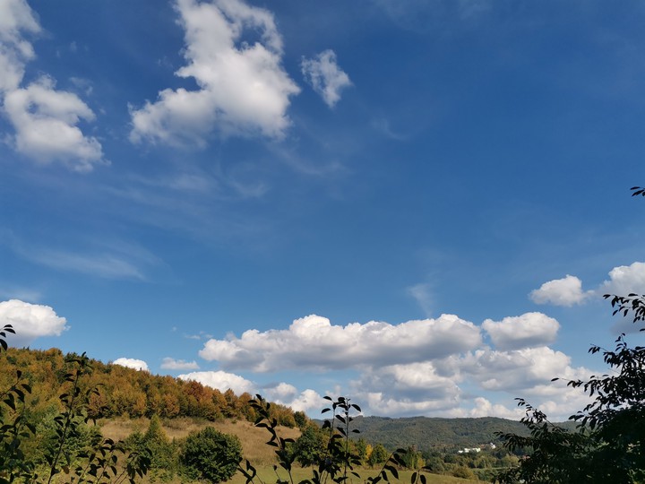 Autumn