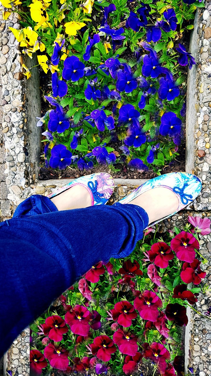 Every blooming step