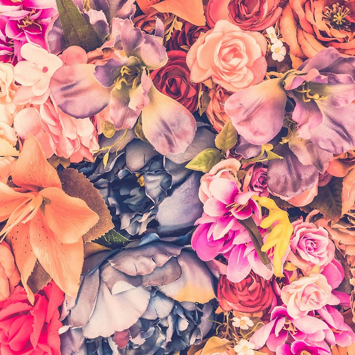 covered with flowers