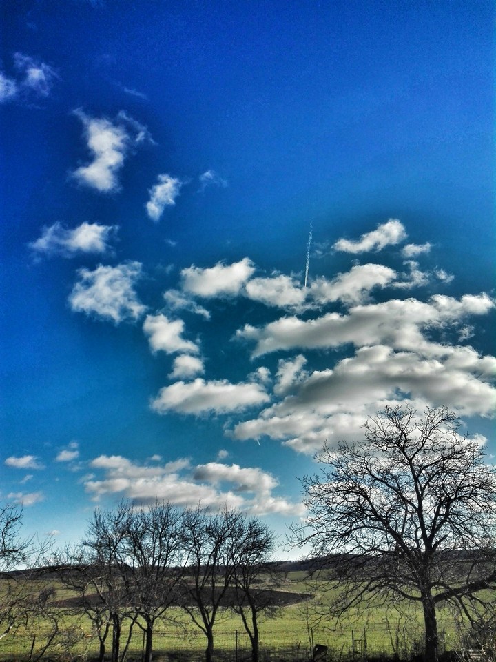 Early spring
