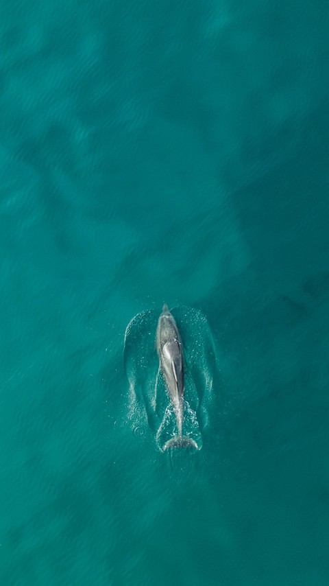 Wide open sea