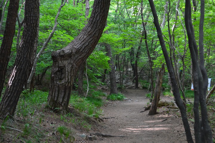 산이미지