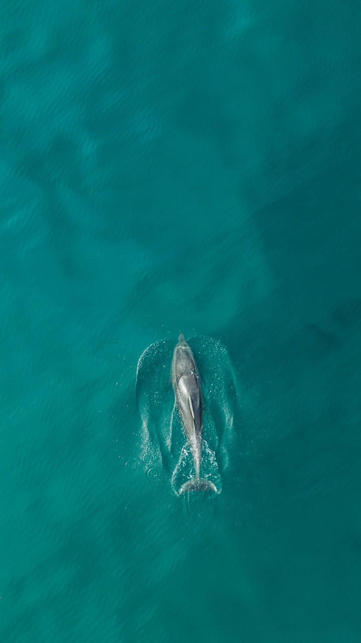 Wide open sea