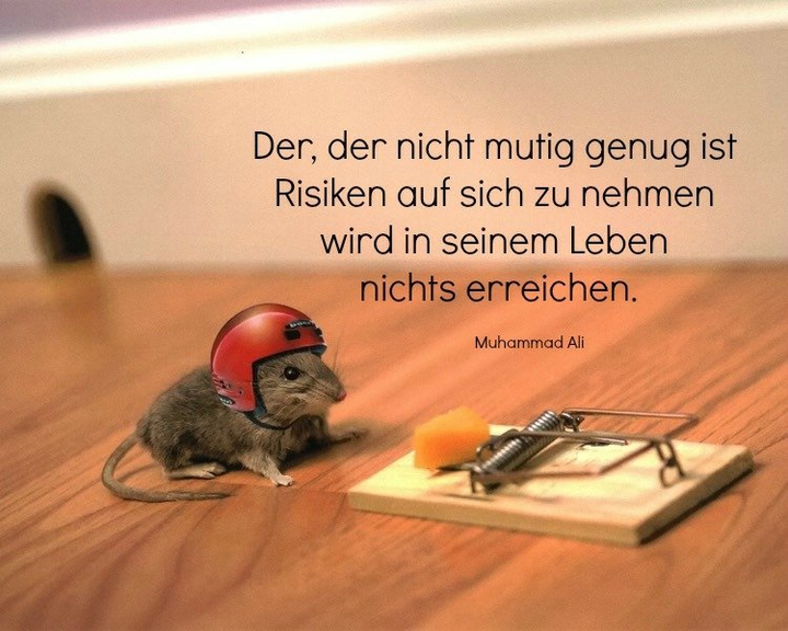 Da ist viel Wahrheit drin
