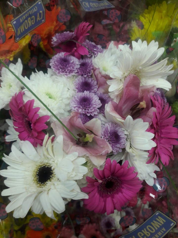 spring flowers