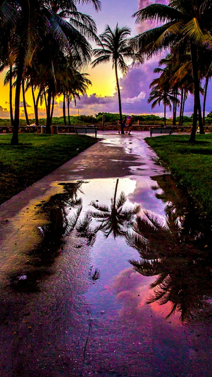 Sun goes down.