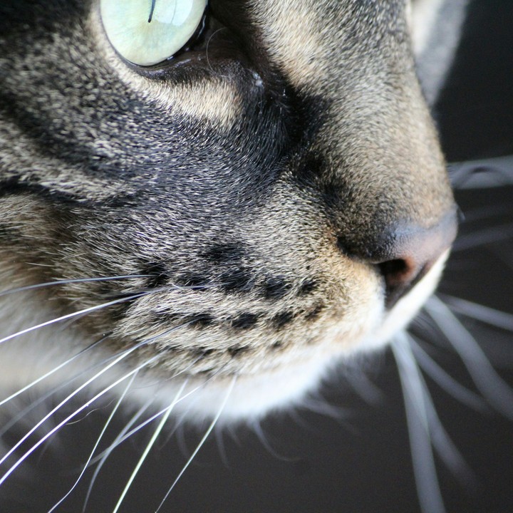 close up