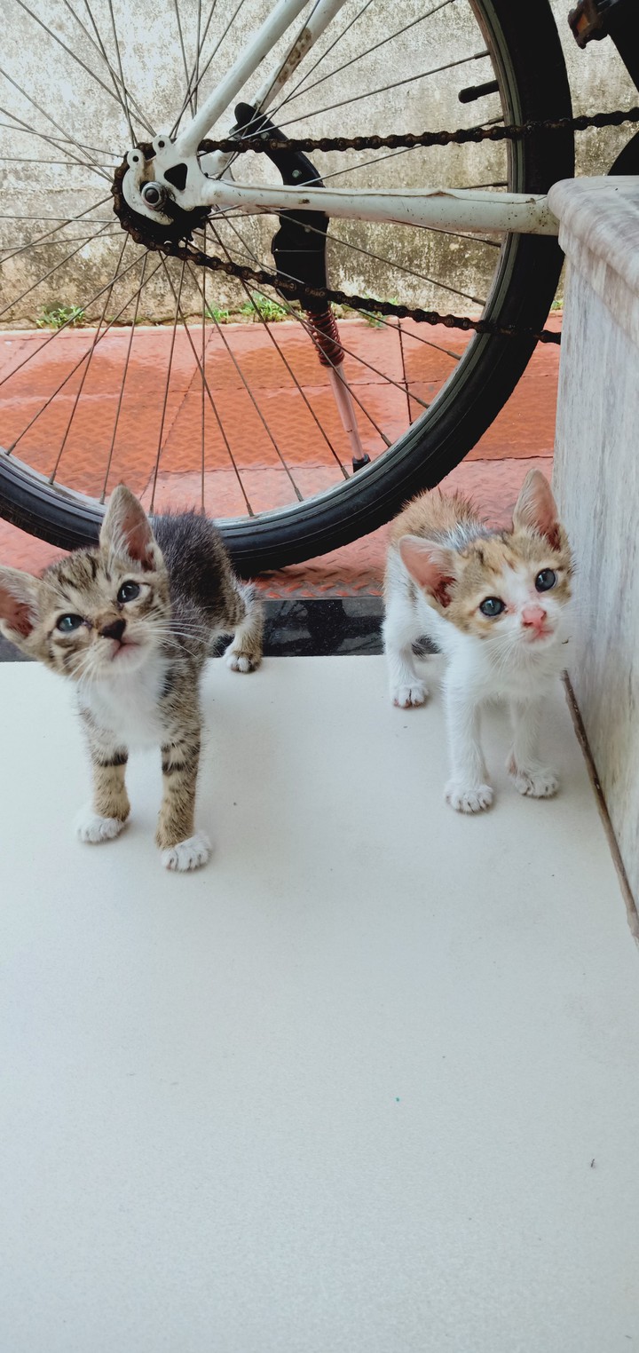 cute