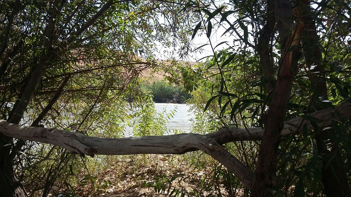 kalar city