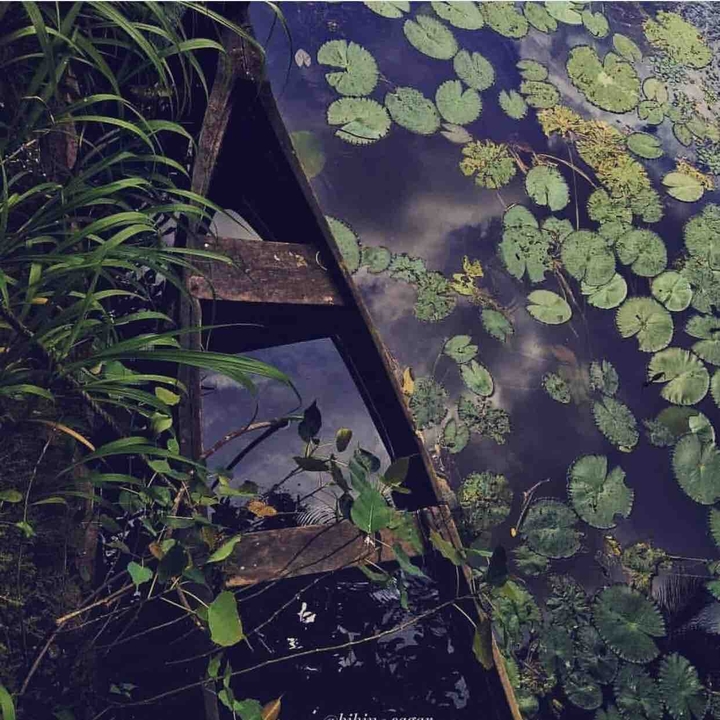 pond