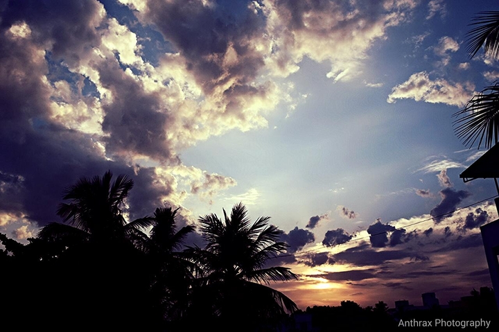 Sunset Boulevard
