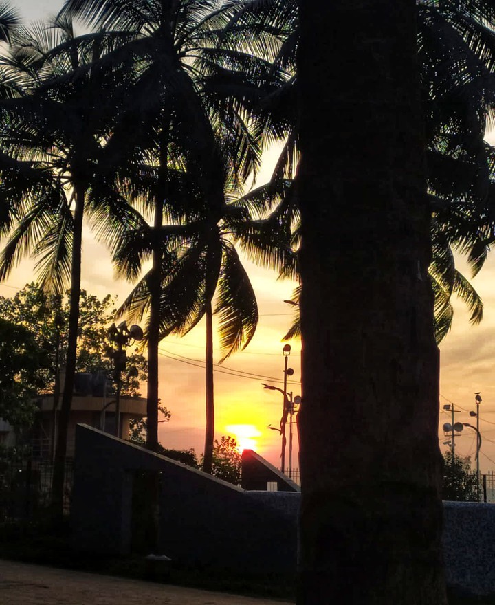 #sunset #Beach #Trees #peace