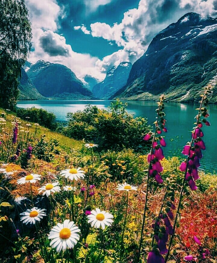 nature