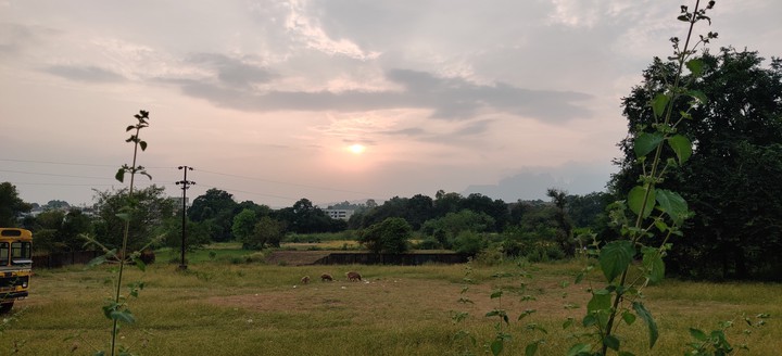 sunsets are beautiful