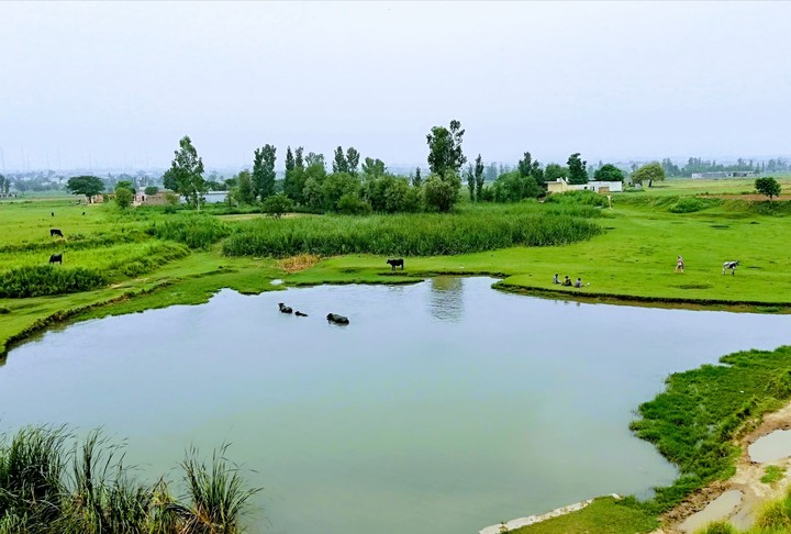 pakistan